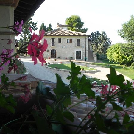 Tenuta Pizzogallo Amelia Kültér fotó
