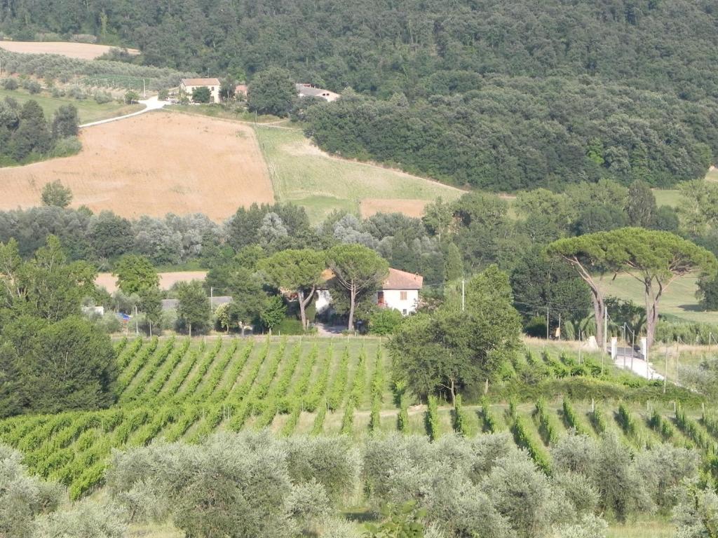 Tenuta Pizzogallo Amelia Szoba fotó