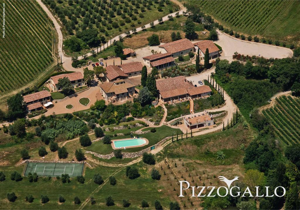 Tenuta Pizzogallo Amelia Kültér fotó