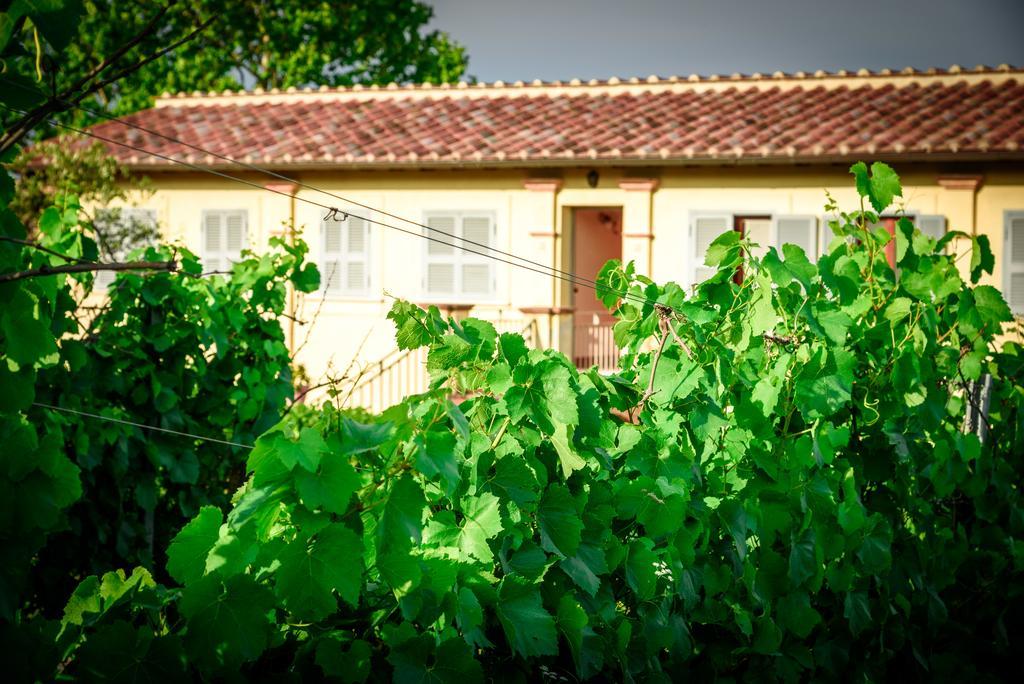 Tenuta Pizzogallo Amelia Kültér fotó