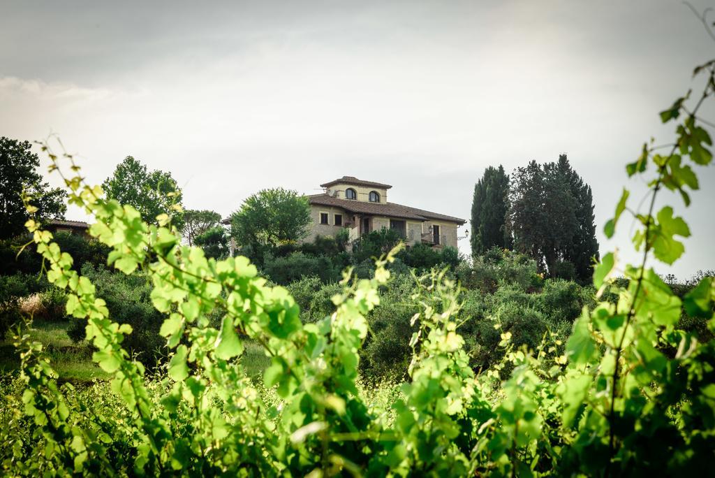 Tenuta Pizzogallo Amelia Kültér fotó