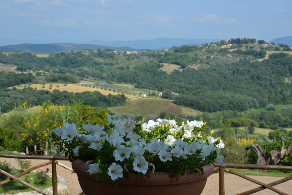 Tenuta Pizzogallo Amelia Kültér fotó