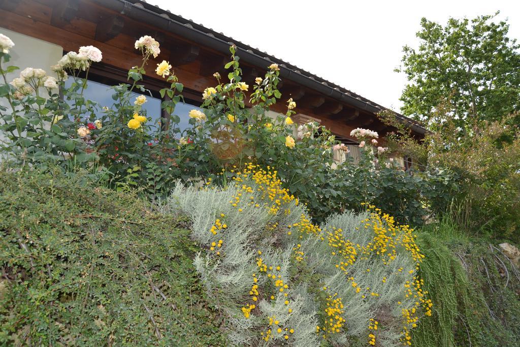 Tenuta Pizzogallo Amelia Kültér fotó