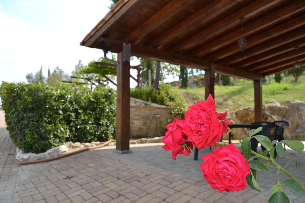 Tenuta Pizzogallo Amelia Kültér fotó
