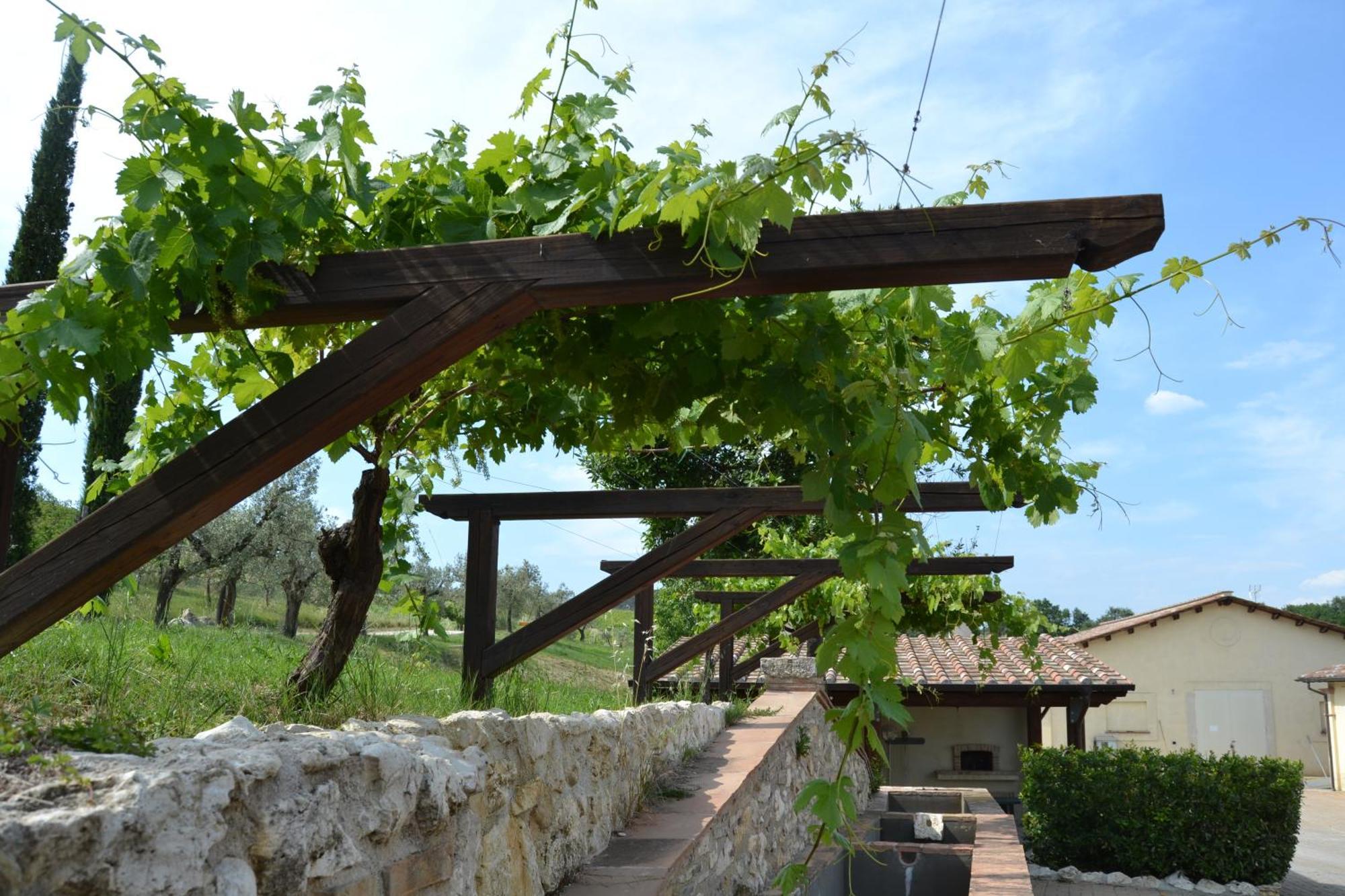 Tenuta Pizzogallo Amelia Kültér fotó