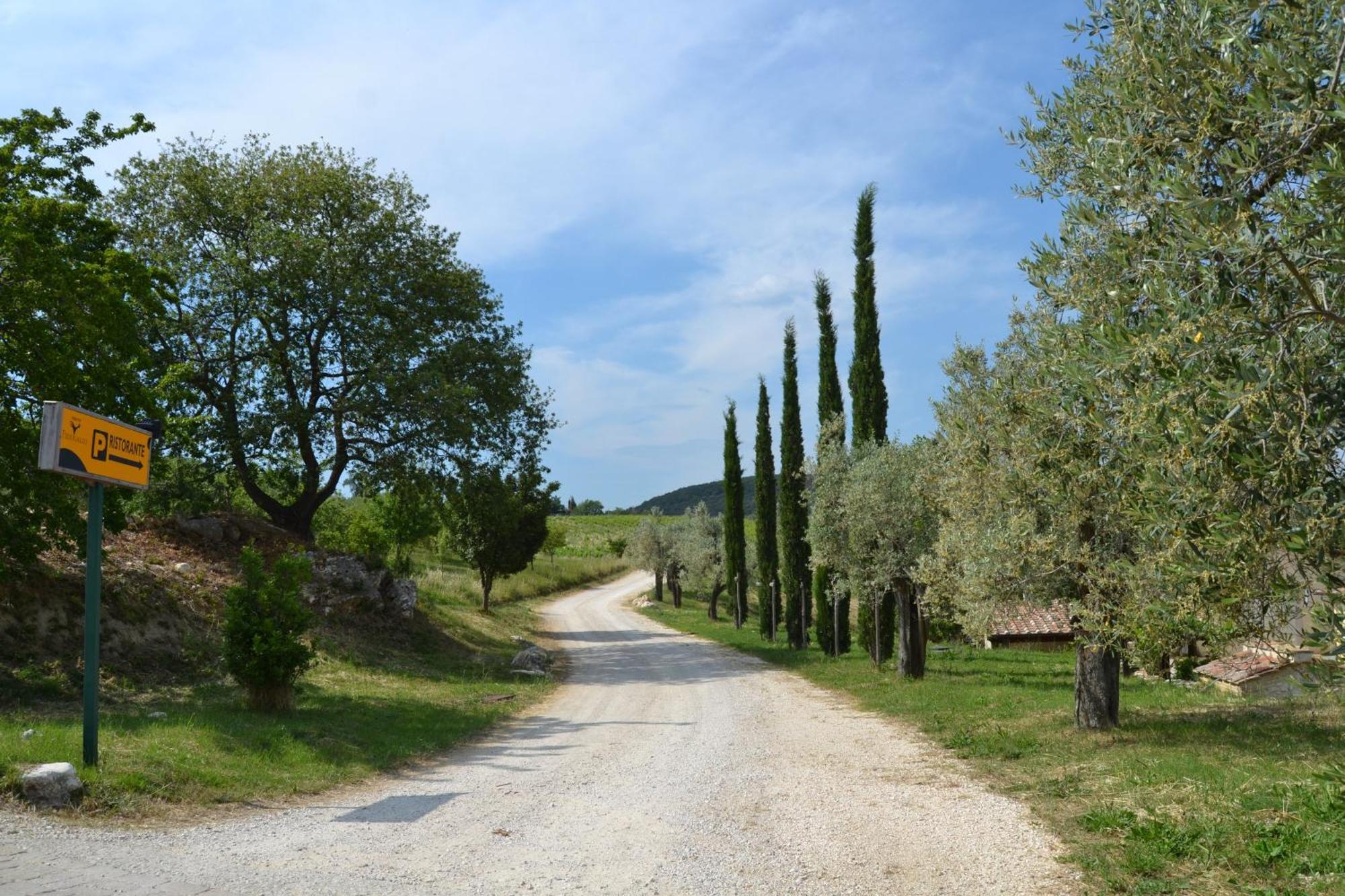 Tenuta Pizzogallo Amelia Kültér fotó