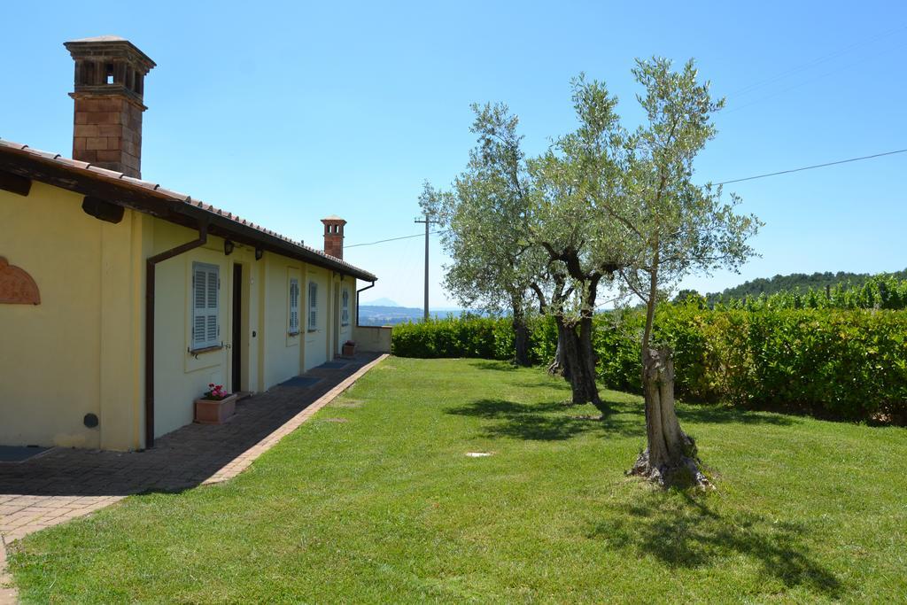 Tenuta Pizzogallo Amelia Kültér fotó