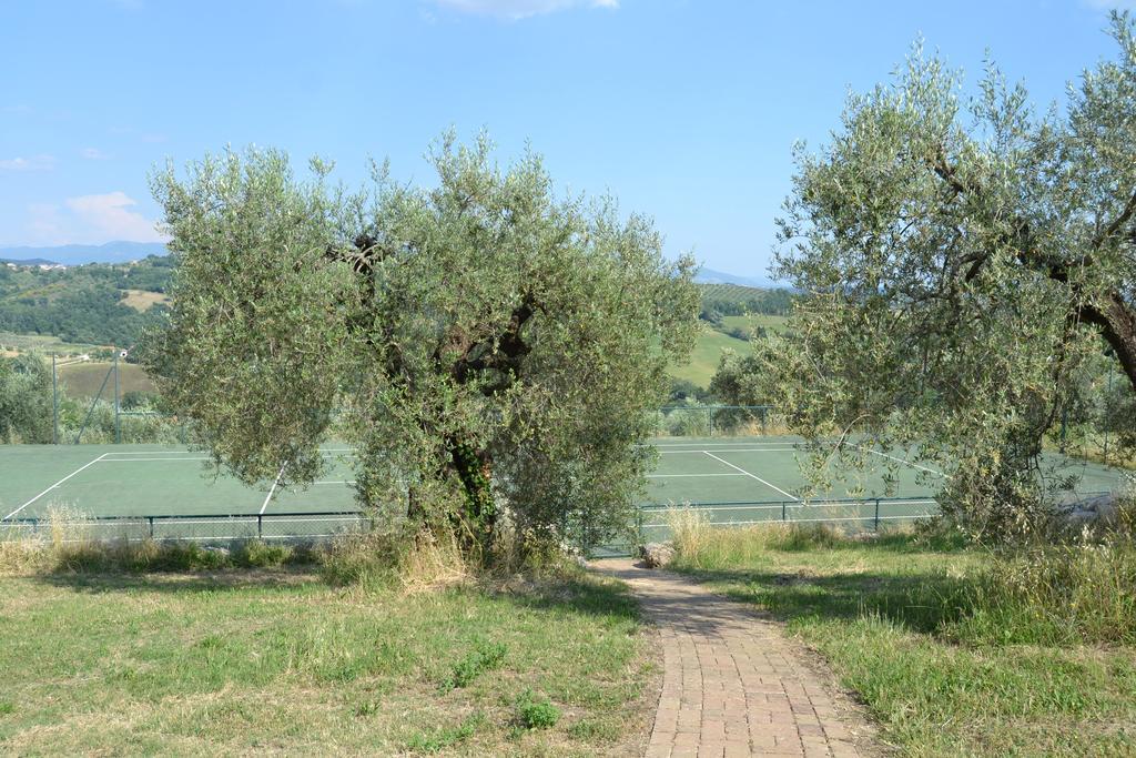 Tenuta Pizzogallo Amelia Kültér fotó