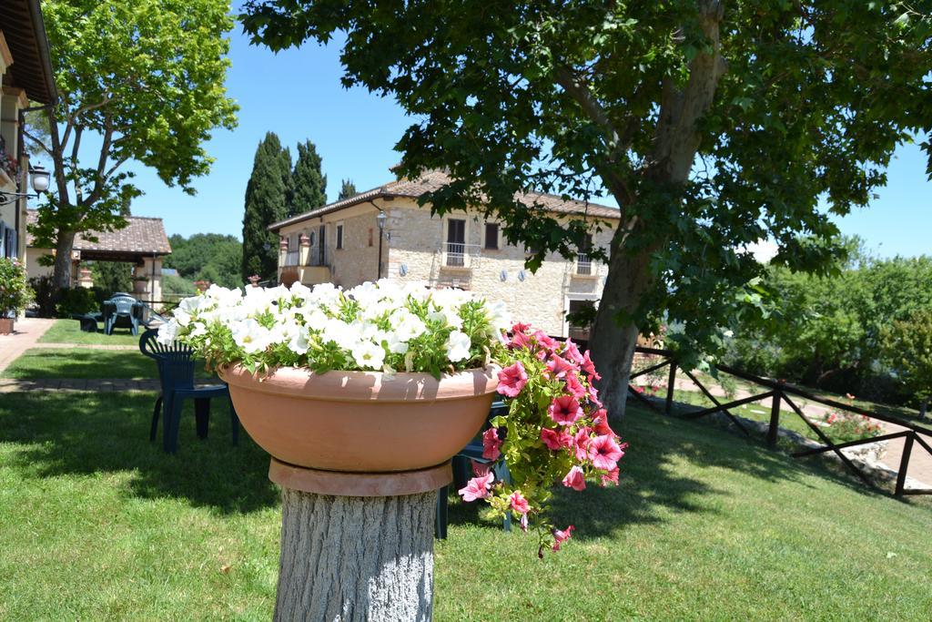 Tenuta Pizzogallo Amelia Kültér fotó